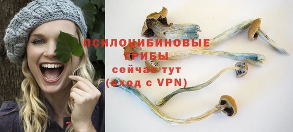 PSILOCYBIN Горняк