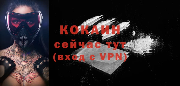 PSILOCYBIN Горняк