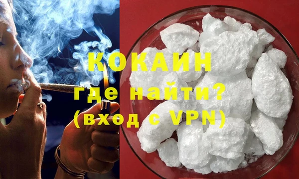 PSILOCYBIN Горняк