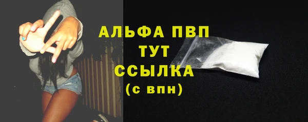 PSILOCYBIN Горняк