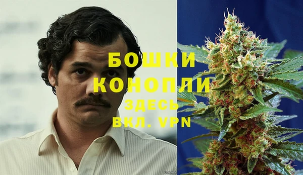 дмт Горнозаводск