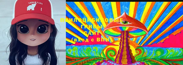 дмт Горнозаводск