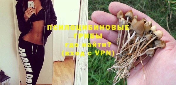 гашик Горно-Алтайск