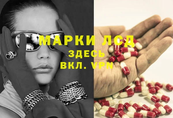 гашик Горно-Алтайск