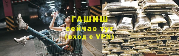 PSILOCYBIN Горняк