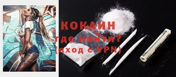 PSILOCYBIN Горняк