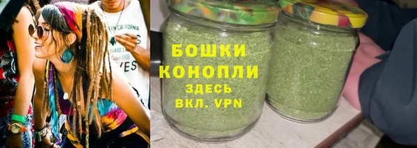 дмт Горнозаводск